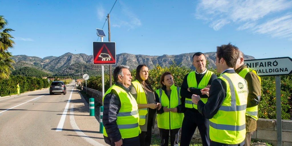 Las carreteras de Valencia estrenarán un sistema pionero de alerta luminosa ante la presencia de jabalíes