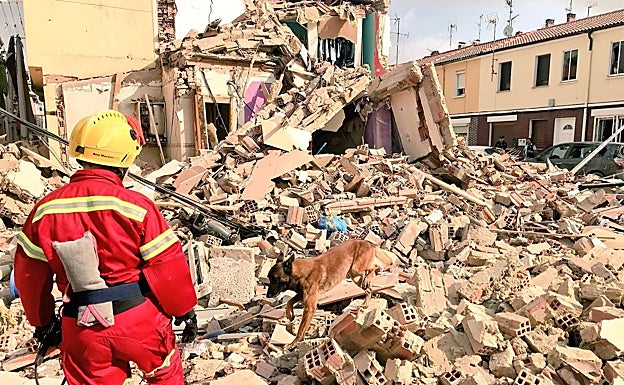 Después de que se produjera una explosión de gas en el barrio de la Inmaculada de Burgos, el Equipo de Rescate Canino de Burgos realizó un 