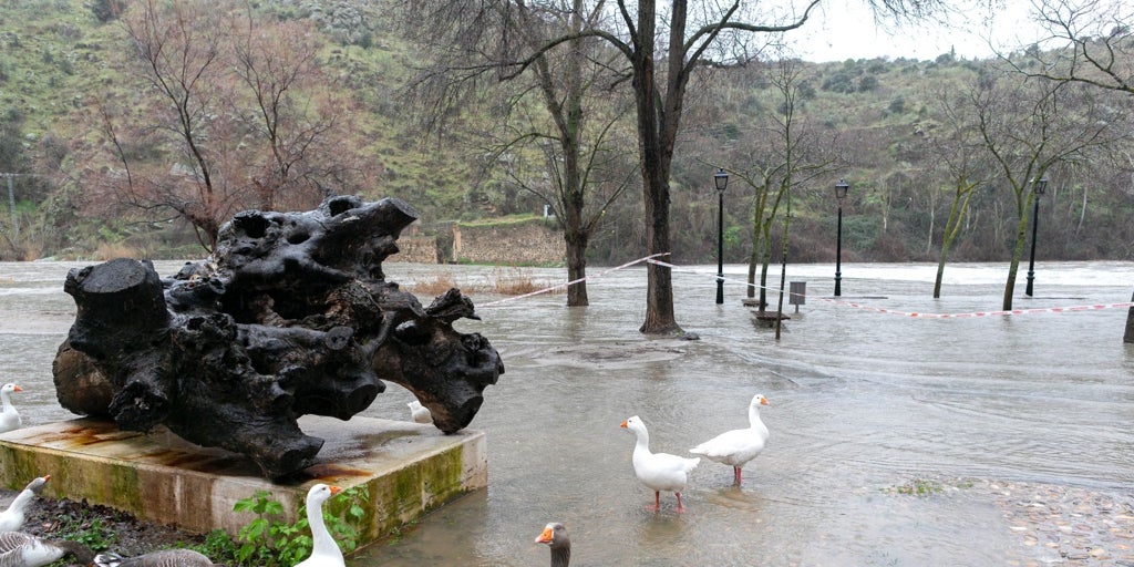 Toledo vigila al Tajo ante un nuevo repunte, pero no alcanzará «los niveles históricos del pasado año»