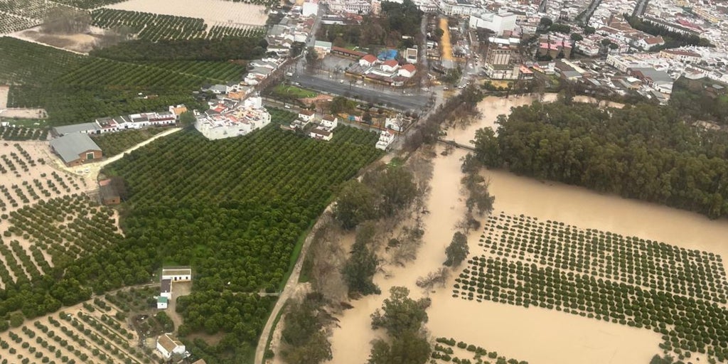 Asaja eleva a más de 700 millones las pérdidas en el campo de Córdoba por los últimos temporales