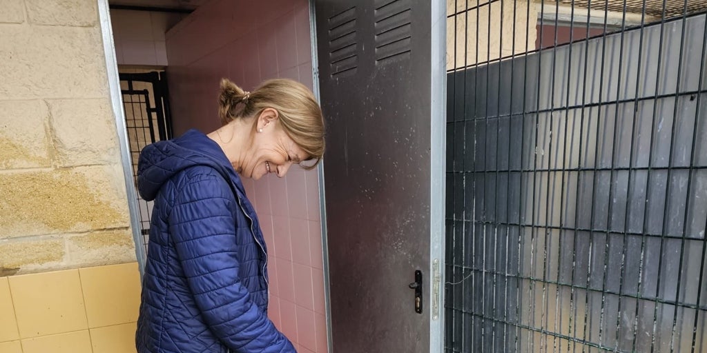 El vídeo viral del perro abandonado y atado en una casa inundada en Jerez de la Frontera destapa un presunto maltrato animal