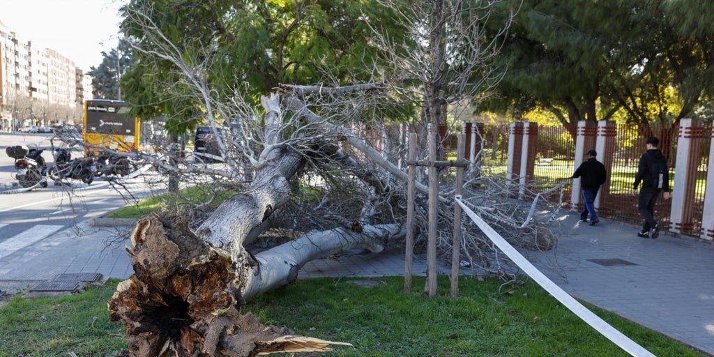 Alerta roja por viento en la Comunidad Valenciana: cabalgatas y actos suspendidos este fin de semana