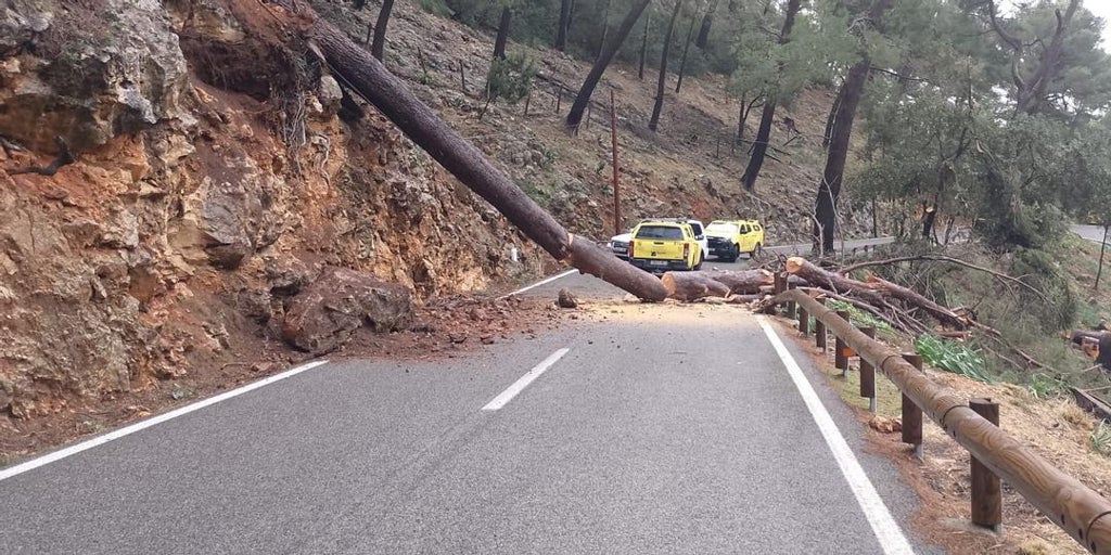 Las fuertes rachas de viento provocan el corte de la N-320 en Alcocer (Guadalajara) tras la caída de varios árboles en la vía