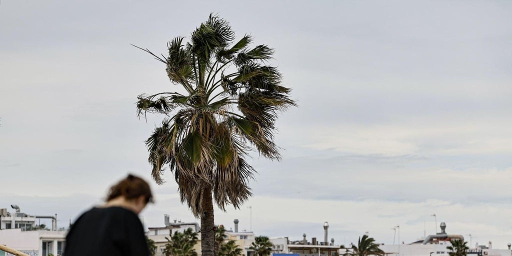 Temporal de viento en Valencia: alerta roja, carreteras cortadas y rachas «salvajes» de 172 km/h