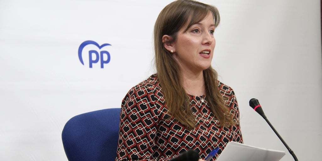 Andicoberry afirma que «ni toda la propaganda del mundo» tapa el fracaso de Page: «Pobreza récord y sanidad en huelga por su mala gestión»