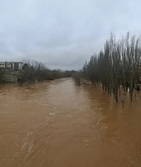 Imagen secundaria 2 - Desde el monasterio de La Vid, en la provincia de Burgos, hasta Aranda, pasando por Tudela de Duero, las inundaciones siguen y van en aumento en Castilla y León