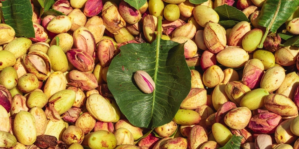 Castilla-La Mancha bate récord en producción de pistacho: 11.000 toneladas en 2025