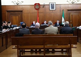 El primer arrepentido en 15 años del caso ERE confiesa su culpa en el juicio: «Estoy avergonzado por el fraude de fondos públicos»