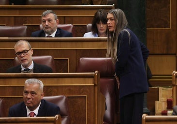 Debate en el Congreso sobre la prohibición del burka y niqab