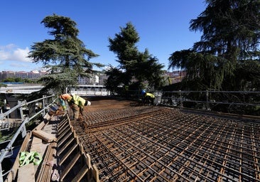 El reto de crear un paseo entre copas de árboles sin cortar el punto más conflictivo de la M-30