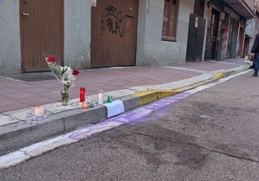 Los padres del joven apuñalado denuncian que la madre del agresor pidió ayuda y no fue atendida