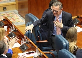 El número dos de Ayuso reivindica el PP de Madrid como «proa» del partido nacional que lidera Feijóo