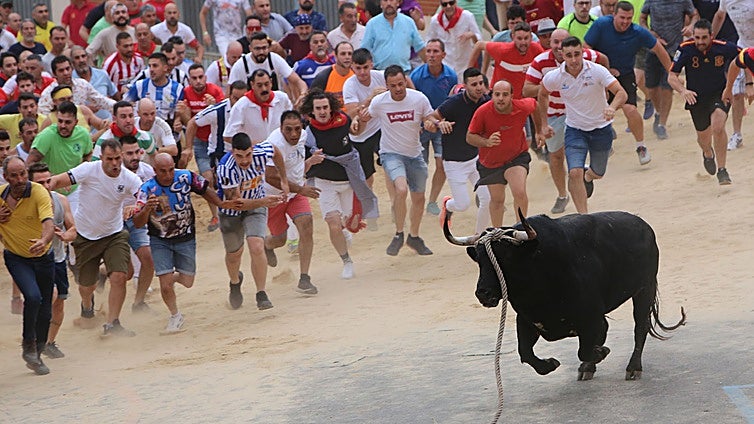 Benavente recibe con «emoción» el premio a la «lucha» por mantener su toro enmaromado