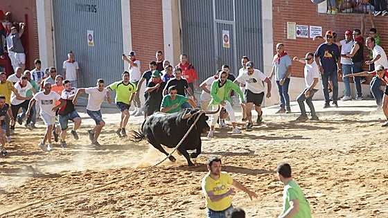El Ayuntamiento de Benavente (Zamora), Premio Castilla y León de Tauromaquia