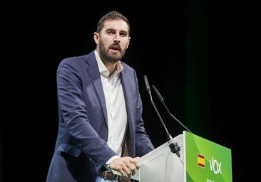 Dimite en bloque la dirección de Vox por desacuerdos con Antelo