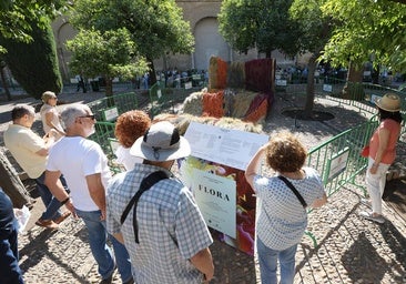 La última edición de Flora alcanzó los 67 millones de impacto económico