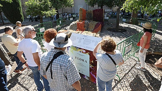 La última edición del Festival Flora de Córdoba alcanzó 67 millones de impacto económico