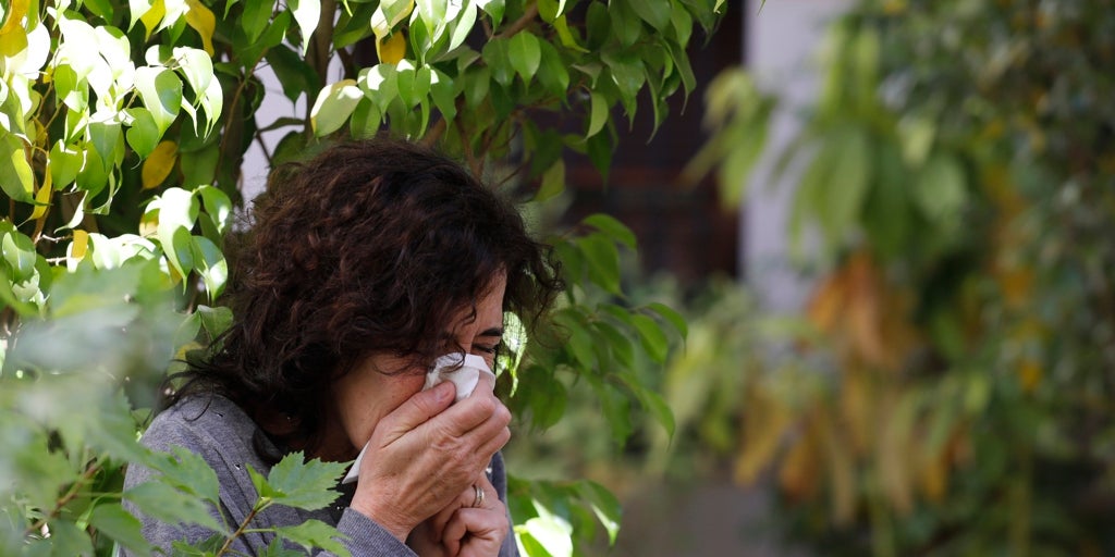 Los alergólogos alertan de la anticipación de altos índices de polen antes del inicio de la primavera