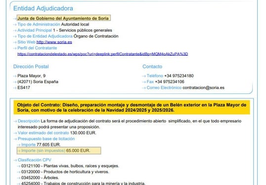 Contrato adjudicado a Mis Flores S.L. para las navidades de 2024 y 2025.