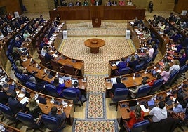 PP y Vox abren la puerta a limitar el número de diputados en la Asamblea ante el 'boom' demográfico