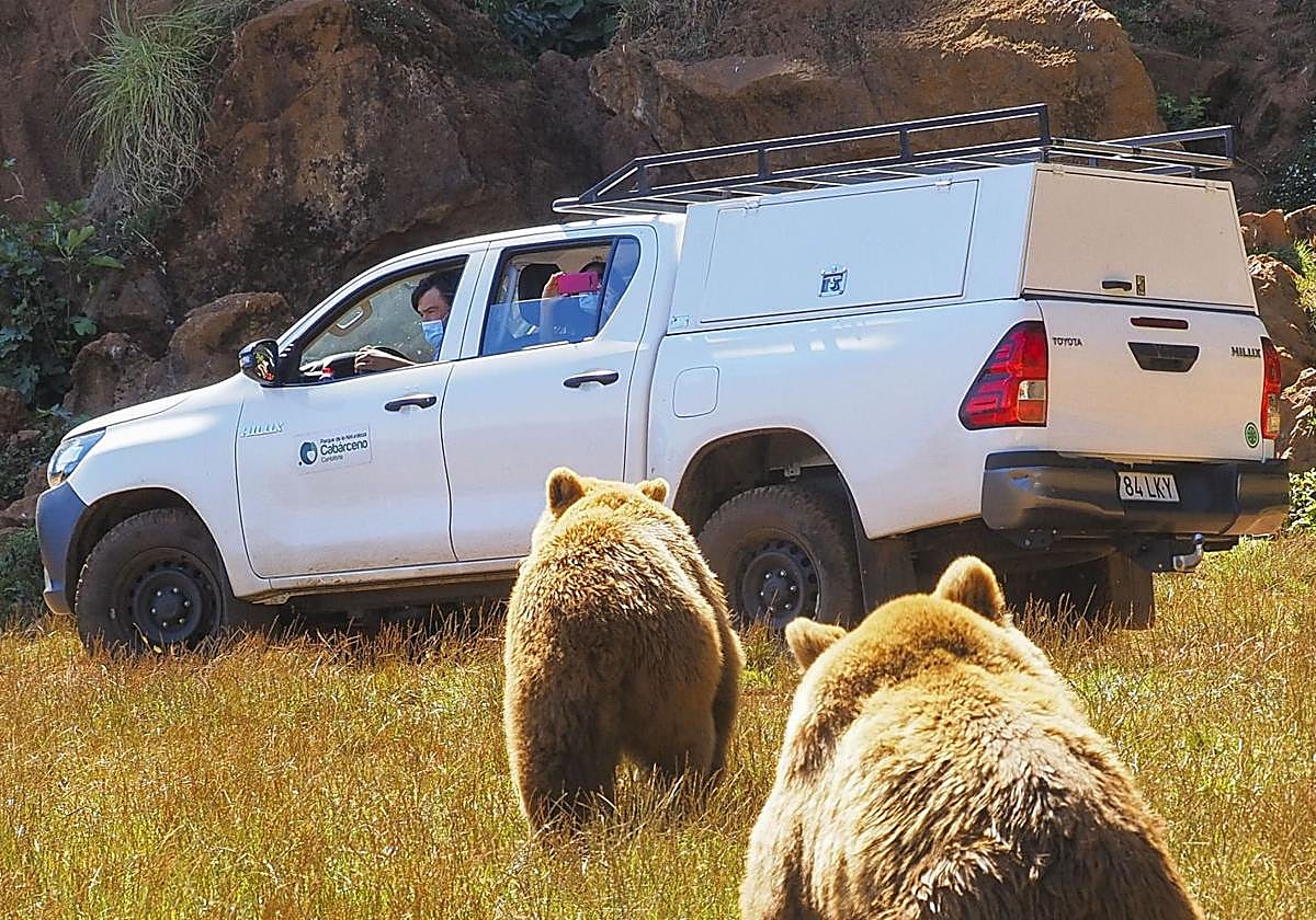 La empresa de Turismo de Cantabria compra un perro por más de 8.000 euros para proteger los coches de Cabárceno de otros animales