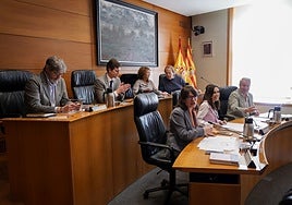 Cincuenta años de media, mayoría de mujeres y de Zaragoza: así queda la composición de las Cortes