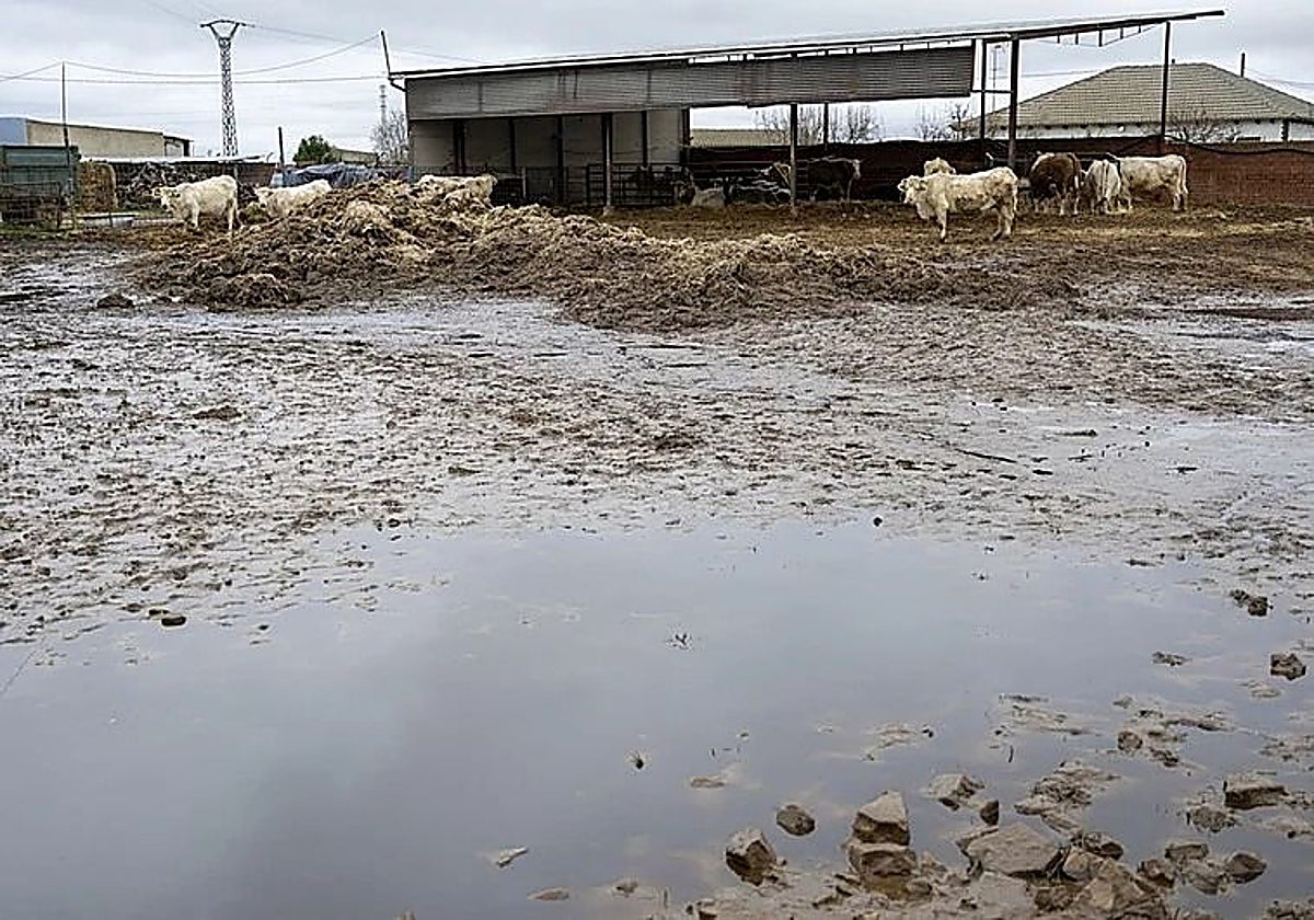 PP y Vox acusan a la Junta de dejar «abandonados» a municipios y agricultores tras las lluvias