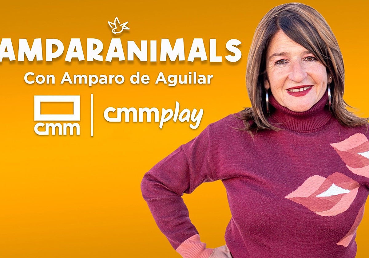  Amparanimals , el espacio de CMM en televisión dedicado al mundo animal