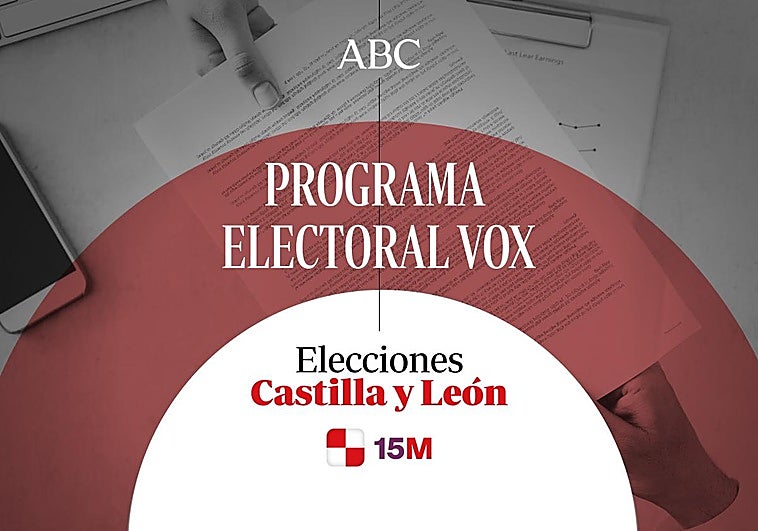 Este es el programa electoral de Vox y Carlos Pollán para las ...
