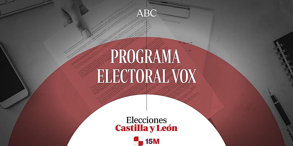 Este es el programa electoral de Vox y Carlos Pollán para las ...