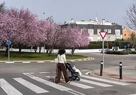 Valdemarín, un asombro de Madrid