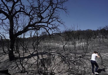 La Fiscalía solicita dos años de cárcel para un acusado de provocar un incendio forestal junto al 'Castillo de El Vacar'