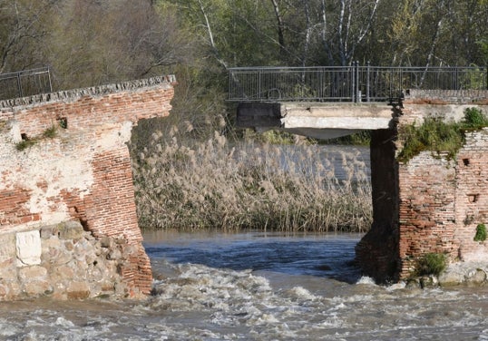 Puente viejo de Talavera de la Reina.