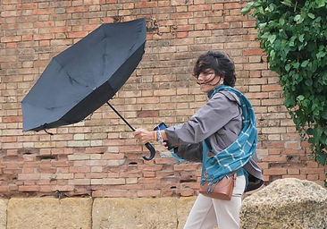 Canarias se prepara para recibir a Therese, una borrasca con lluvias, viento y temporal marítimo
