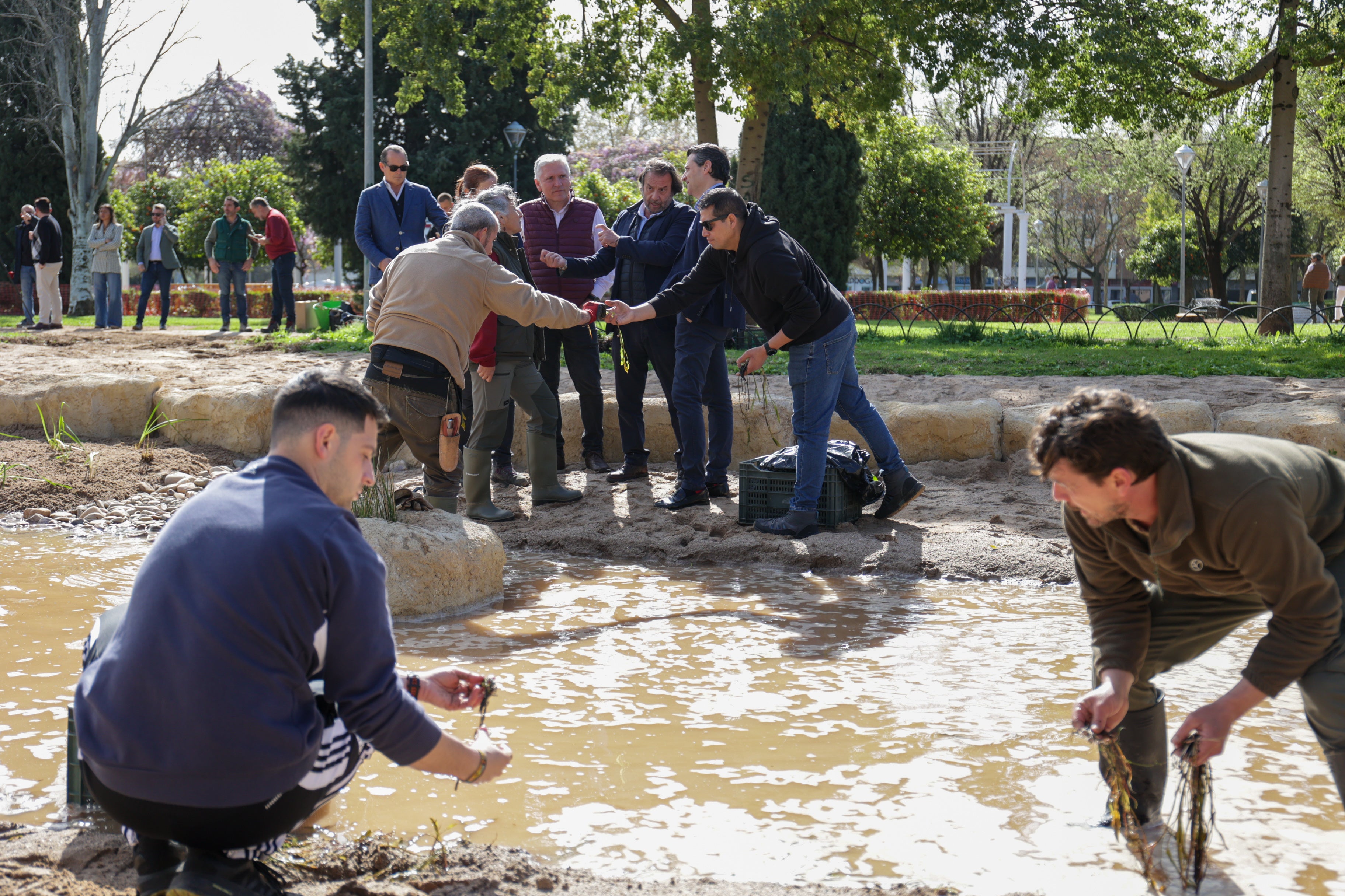 La nueva imagen del estanque de los jardines de Elena Fortún, en imágenes