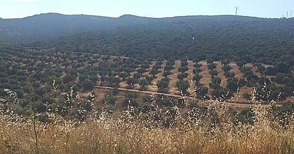 Ecologistas denuncia la ocupación de casi tres millones de m² en vías pecuarias de la región