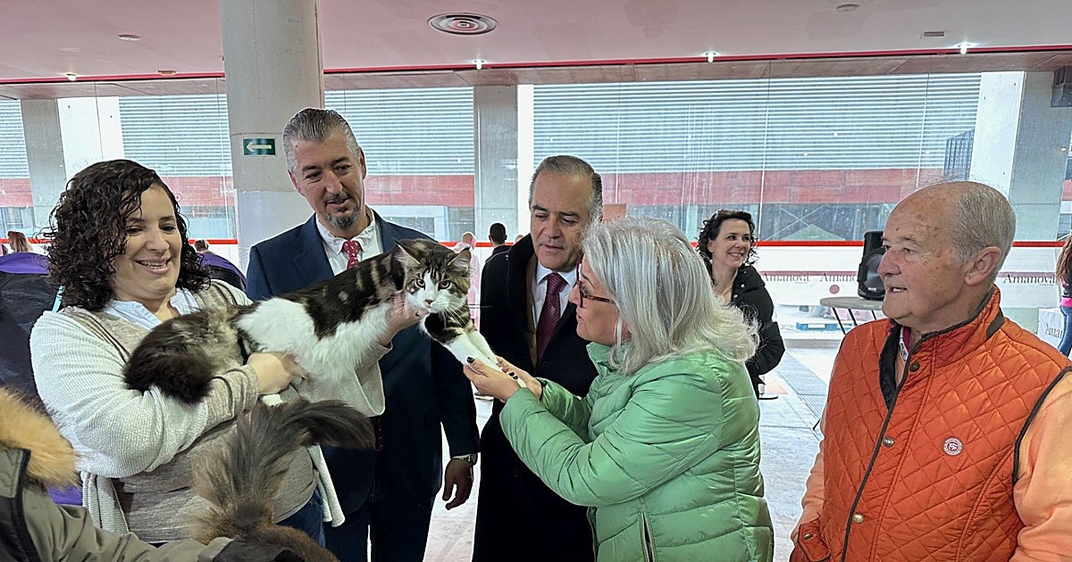 Más de 1.000 perros y 200 gatos protagonizan las exposiciones caninas y felinas de Talavera Ferial