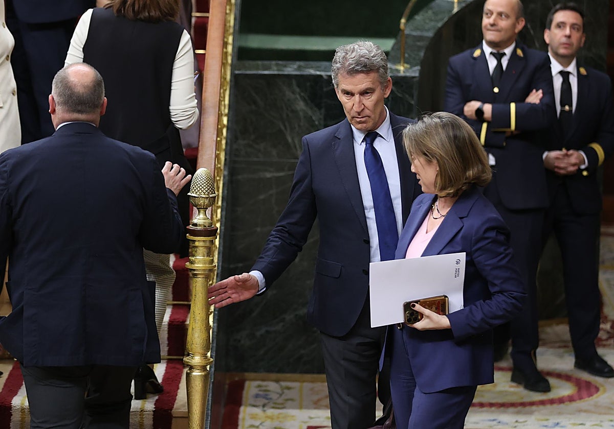 Alberto Núñez Feijóo en el Congreso
