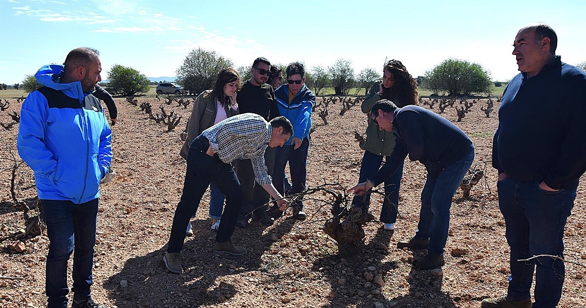 Las ayudas para el control de conejos de la Diputación de Cuenca contarán con 500.000 euros