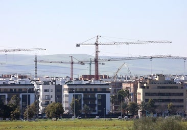 Los arquitectos apoyan la revisión integral de las normas urbanísticas para «adaptarse a la realidad» de Córdoba