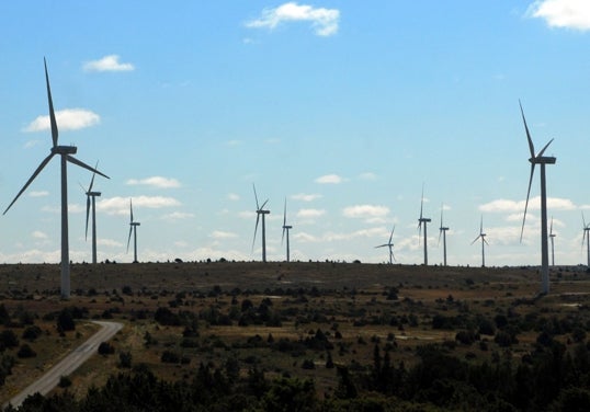 Fuentes implicadas en la investigación de Forestalia afirmaron que la instalación de energías renovables era “pan comido”.