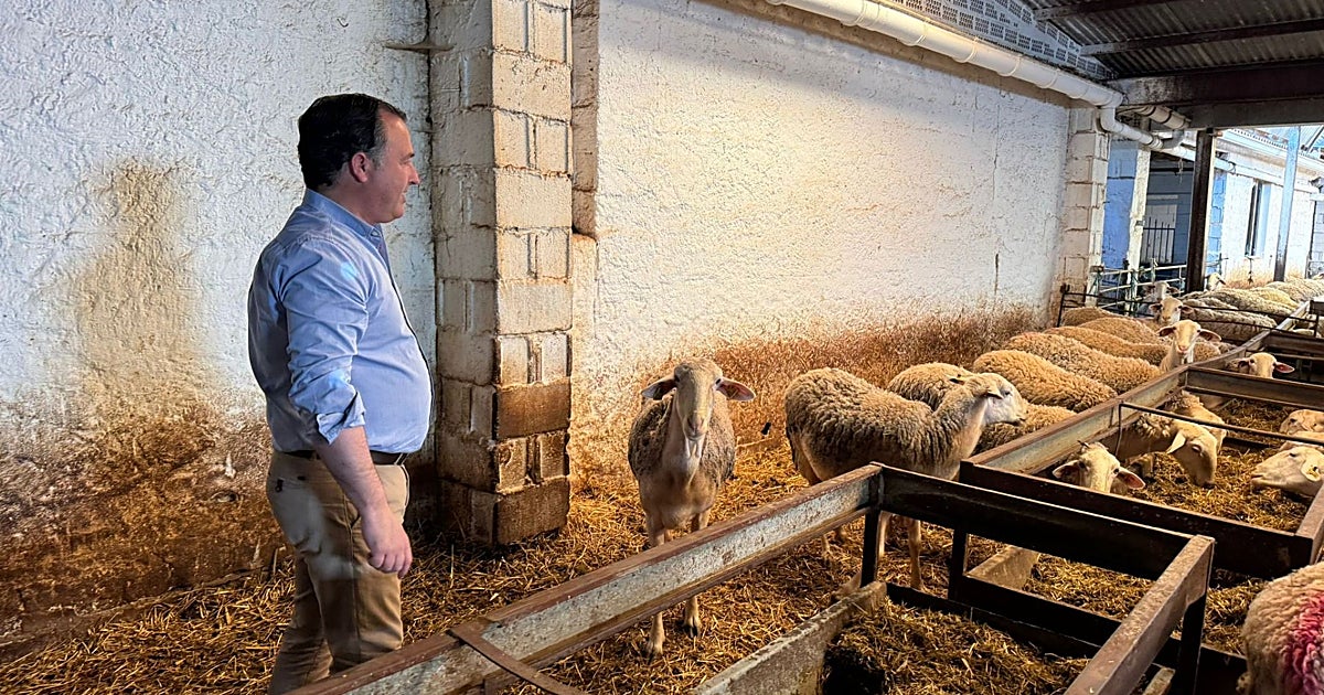 Vox sitúa la defensa del queso manchego como «prioridad estratégica» para Castilla-La Mancha