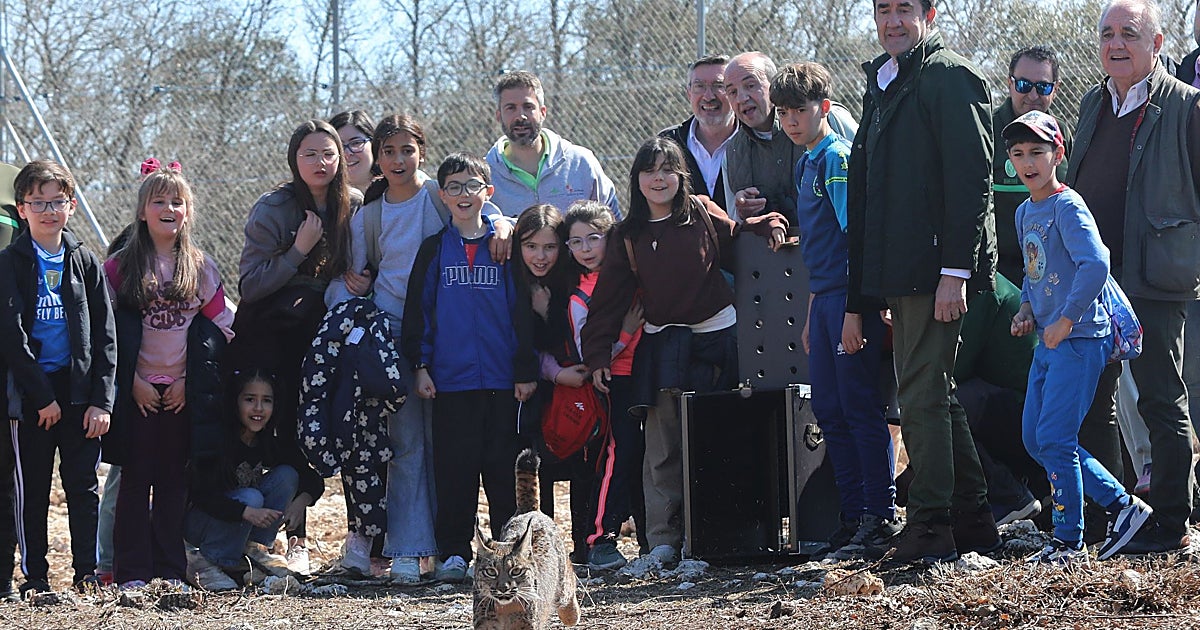 Wilton y Wapa, los dos nuevos linces liberados en Astudillo (Palencia)