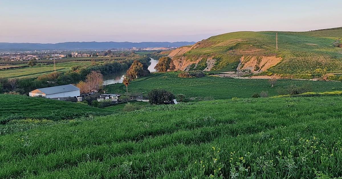 Hallan en estado de descomposición un cadáver en Torre de la Barca, de Córdoba