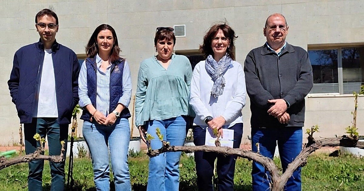 La UCLM define, por primera vez, doce tipos de suelo para los viñedos de Castilla La Mancha