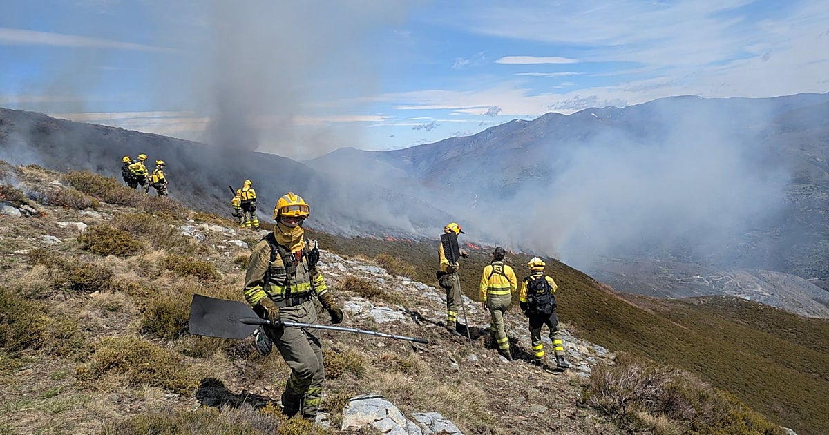 El 80% de la superficie quemada en lo que va de año en Castilla y León se debe a incendios intencionados