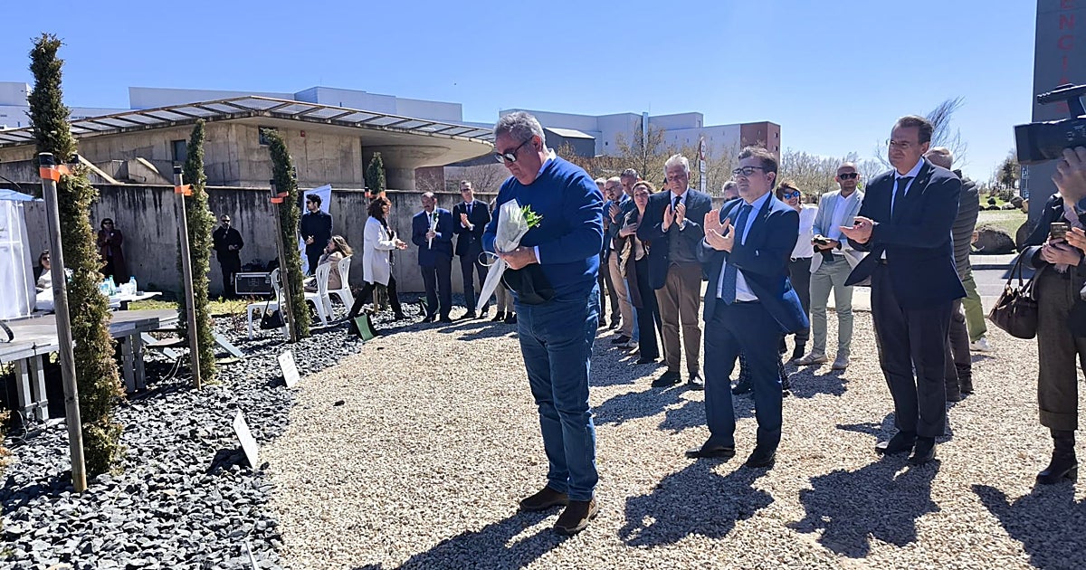 Siete cipreses recuerdan en Ciudad Real a los médicos fallecidos por covid