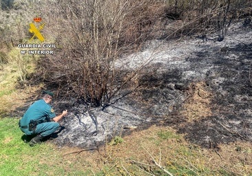 Investigado por iniciar un incendio que arrasó 40 hectáreas en Igüeña (León)