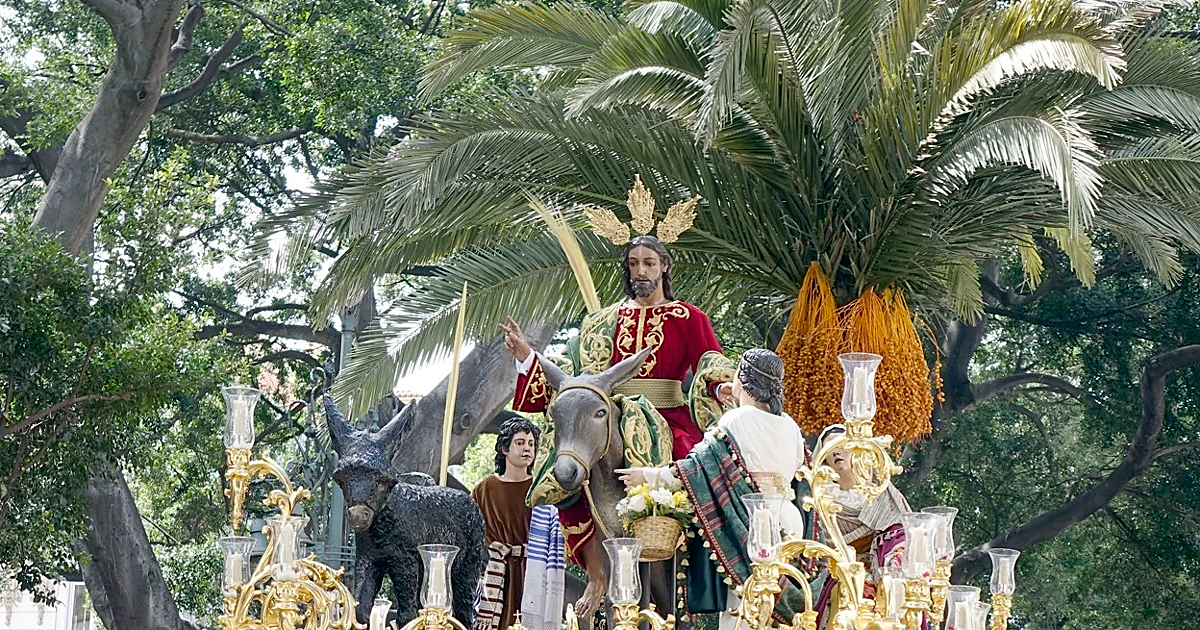 Domingo de Ramos en Málaga, en directo: sigue las procesiones de la Semana Santa 2026