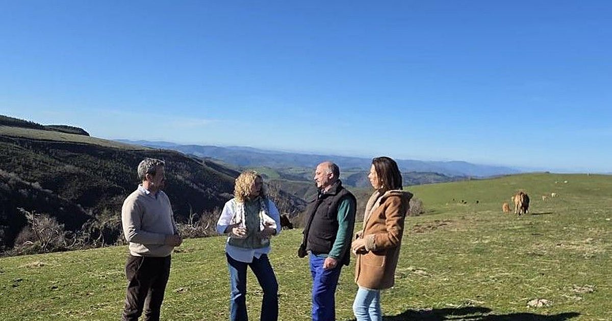 El PP condena el «abandono» del Goberno a los ganaderos ante los ataques de lobo